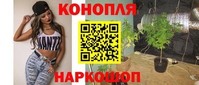 spice Севастополь