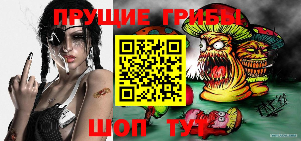 Галлюциногенные грибы прущие грибы Ростов-на-Дону