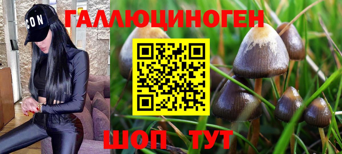 Ростов-на-Дону  Псилоцибиновые грибы Psilocybe  Галлюциногенные грибы ЛСД  Вход с VPN 